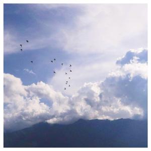 三级黄色A片免费看
